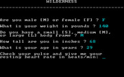 Wilderness: A Survival Adventure for IBM PC/Compatibles - Answer a few questions before beginning your adventure...
