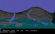 Wilderness: A Survival Adventure for IBM PC/Compatibles - Some leafy plants here...want to take them?