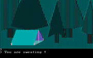 Wilderness: A Survival Adventure for IBM PC/Compatibles - Camping for a bit...
