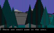 Wilderness: A Survival Adventure for IBM PC/Compatibles - Small game could potentially mean food!