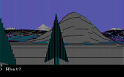 Wilderness: A Survival Adventure for IBM PC/Compatibles - What do you want to do now?