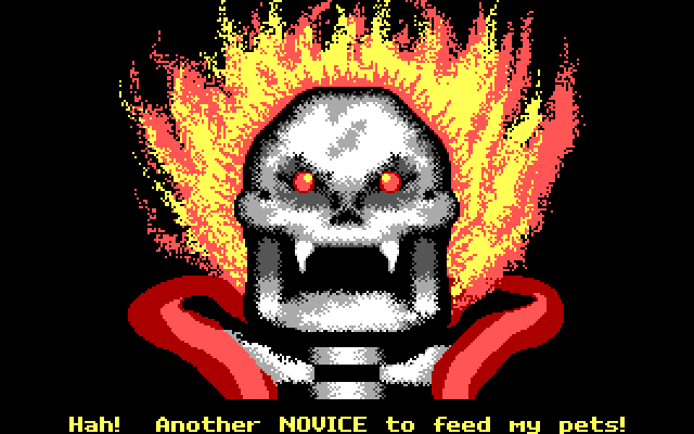 Terror of the Catacombs IBM PC/Compatibles Screenshot: Another novice!