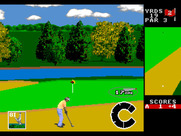 World Class Leader Board for Sega Genesis / Mega Drive - A shot from the sand...