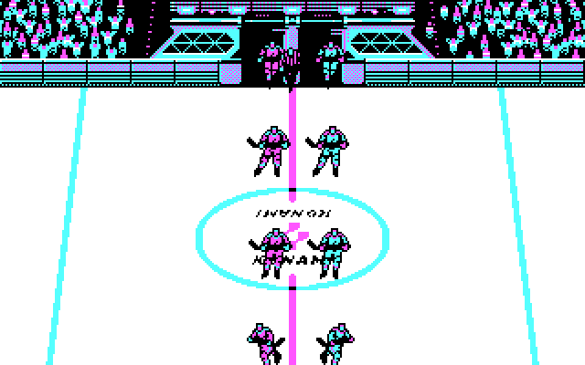 Blades of Steel IBM PC/Compatibles Screenshot: The teams take to the ice!