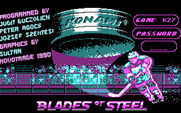 Blades of Steel for IBM PC/Compatibles - Copy protection screen.
