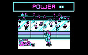 Blades of Steel for IBM PC/Compatibles - I'm knocked down!