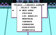 Blades of Steel for IBM PC/Compatibles - Select team menu.