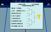 Blades of Steel for Amiga - The teams when beginning a tournament.