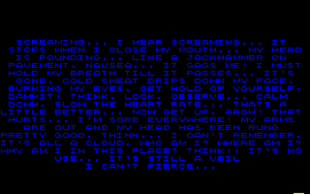 Countdown IBM PC/Compatibles Screenshot: Game introduction...
