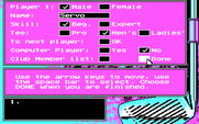 Jack Nicklaus' Unlimited Golf & Course Design for IBM PC/Compatibles - Setting up one of the players.