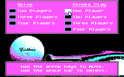 Jack Nicklaus' Unlimited Golf & Course Design for IBM PC/Compatibles - Setting up a game; how many players?