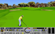 Links: The Challenge of Golf for IBM PC/Compatibles - Nearing the green...