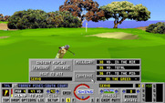 Links: The Challenge of Golf for IBM PC/Compatibles - The last shot landed on the green...continue?
