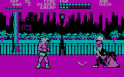 Bad Street Brawler for IBM PC/Compatibles - Each level has some unique opponents.