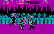 Bad Street Brawler for IBM PC/Compatibles - I'm surrounded!