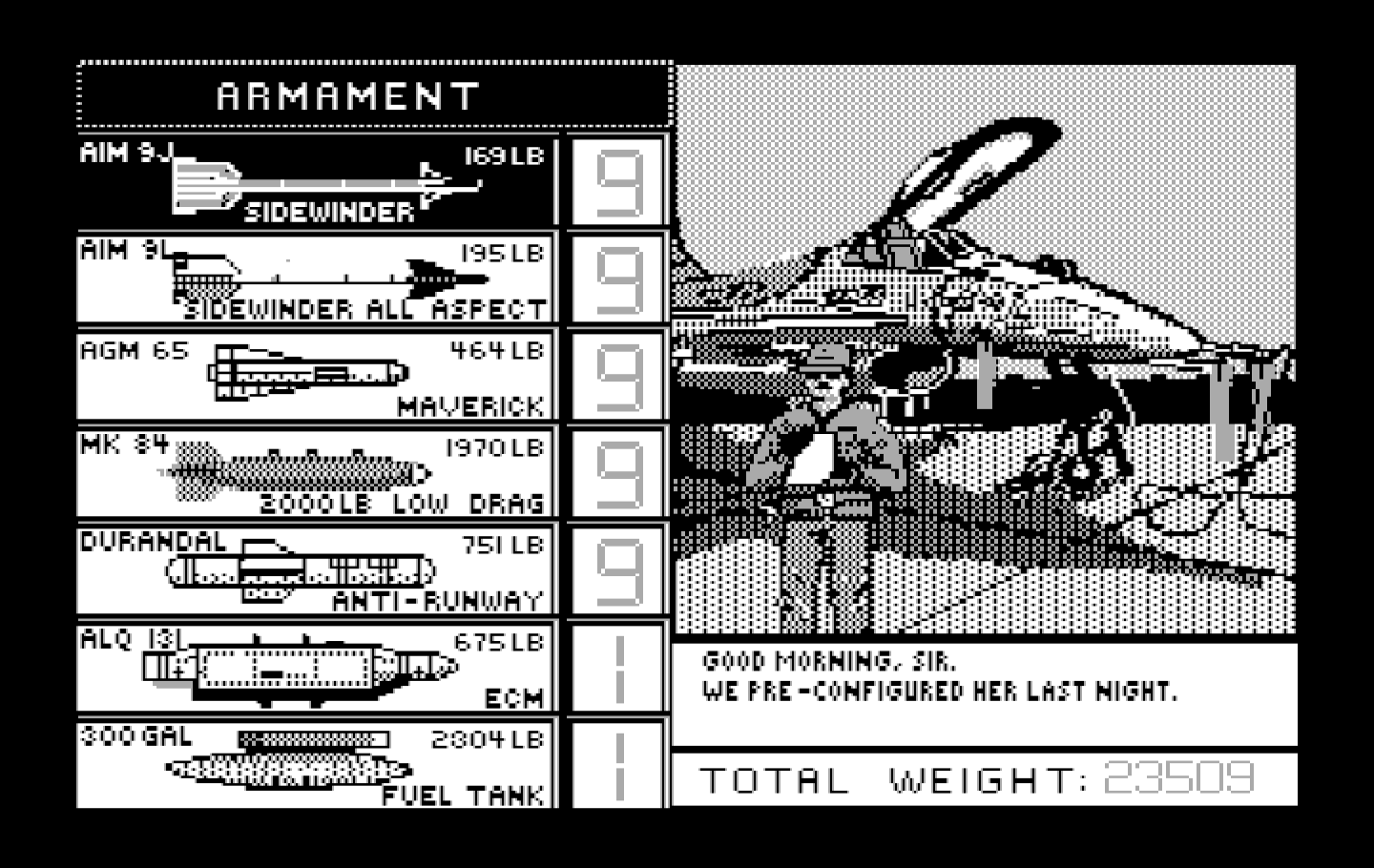 Falcon IBM PC/Compatibles Screenshot: Arming your plane.