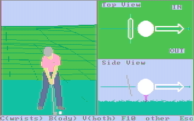 Championship Golf: The Great Courses of the World - Volume One: Pebble Beach IBM PC/Compatibles Screenshot: Setting up to hit a shot.