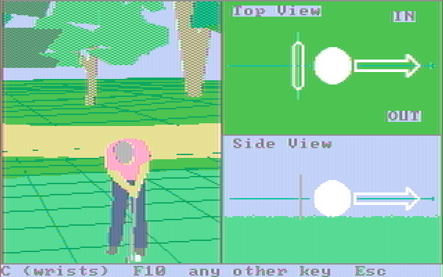 Championship Golf: The Great Courses of the World - Volume One: Pebble Beach IBM PC/Compatibles Screenshot: Putting...