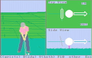 Championship Golf: The Great Courses of the World - Volume One: Pebble Beach for IBM PC/Compatibles - Setting up to hit a shot.