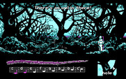 Loom for IBM PC/Compatibles - Finding owls in a part of the forest...