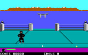 Ninja for IBM PC/Compatibles - The game starts here.