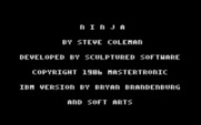 Ninja for IBM PC/Compatibles - Title screen.