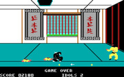 Ninja for IBM PC/Compatibles - Game over.