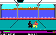 Ninja for IBM PC/Compatibles - Fighting...