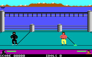 Ninja for IBM PC/Compatibles - Getting ready to start my first fight...