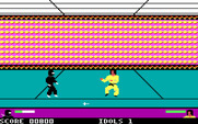 Ninja for IBM PC/Compatibles - This is the diamond room.