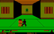 Ninja for IBM PC/Compatibles - Two against one? No fair!