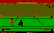 Ninja for IBM PC/Compatibles - Preparing to attack...