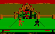 Ninja for IBM PC/Compatibles - Found an idle that's being guarded...