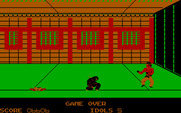 Ninja for IBM PC/Compatibles - Game over.