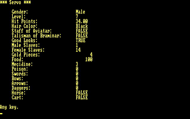 Braminar IBM PC/Compatibles Screenshot: My character...