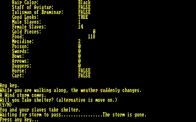Braminar IBM PC/Compatibles Screenshot: Waiting for a storm to pass...
