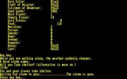 Braminar for IBM PC/Compatibles - Waiting for a storm to pass...
