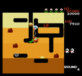 Dig Dug for NES / Famicom - Collect the vegetable in the middle of the screen for bonus points.