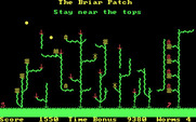 Willy the Worm Part II: The Big Trip Home for IBM PC/Compatibles - The Briar Patch level start.