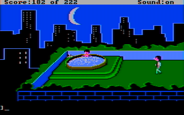 Leisure Suit Larry in the Land of the Lounge Lizards IBM PC/Compatibles Screenshot: The hot tub at the top of the hotel...