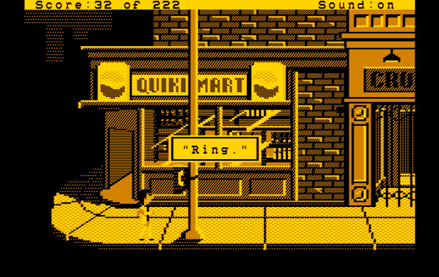 Leisure Suit Larry in the Land of the Lounge Lizards IBM PC/Compatibles Screenshot: Outside the quiki-mart.