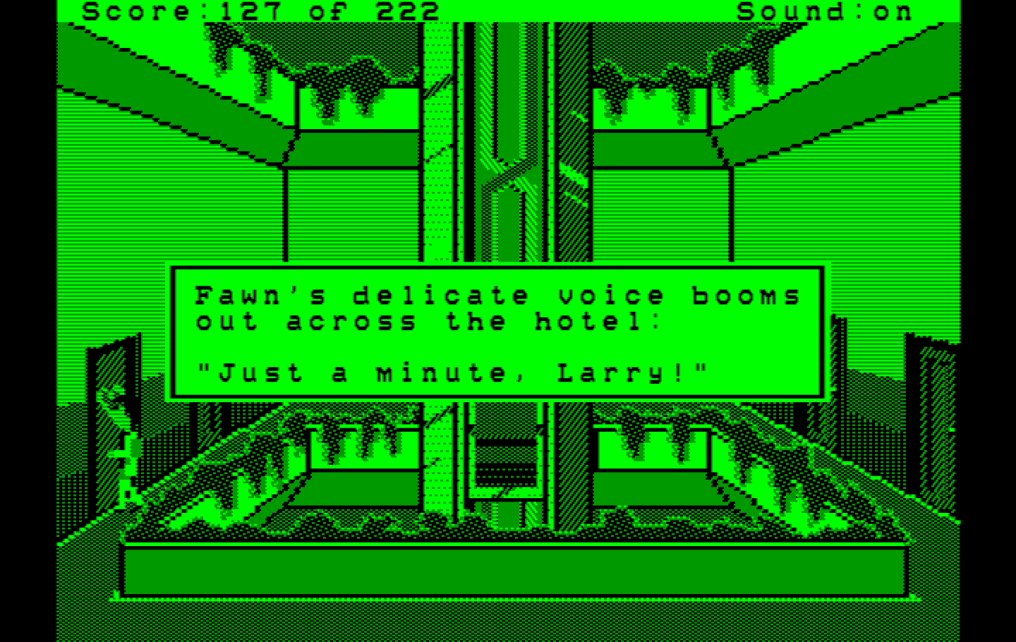 Leisure Suit Larry in the Land of the Lounge Lizards IBM PC/Compatibles Screenshot: The honemoon suite.