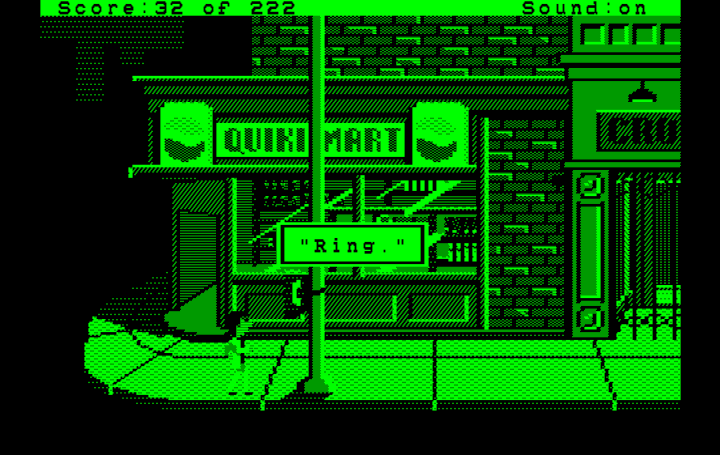 Leisure Suit Larry in the Land of the Lounge Lizards IBM PC/Compatibles Screenshot: Outside the quiki-mart.