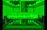 Leisure Suit Larry in the Land of the Lounge Lizards for IBM PC/Compatibles - The honemoon suite.