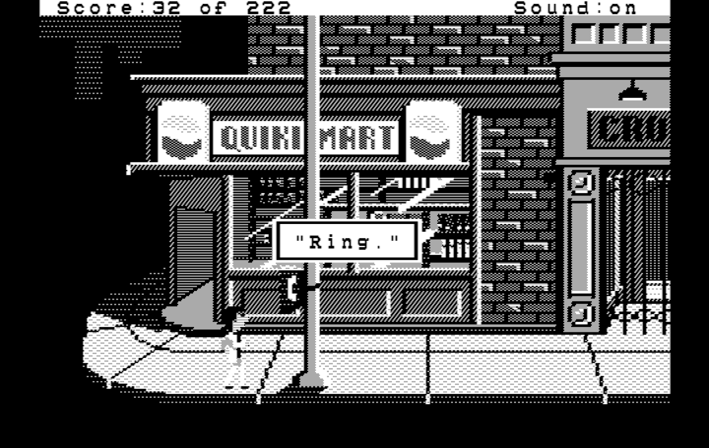Leisure Suit Larry in the Land of the Lounge Lizards IBM PC/Compatibles Screenshot: Outside the quiki-mart.