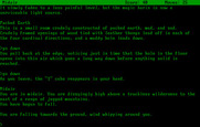 Spellbreaker for IBM PC/Compatibles - Falling towards the ground...