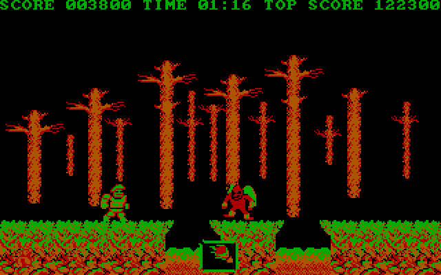Ghosts 'N Goblins IBM PC/Compatibles Screenshot: Be careful of this mid level demon!