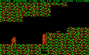 Ghosts 'N Goblins for IBM PC/Compatibles - Some platforms to jump up...
