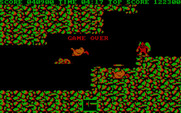 Ghosts 'N Goblins for IBM PC/Compatibles - Game over...again.