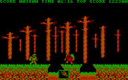 Ghosts 'N Goblins for IBM PC/Compatibles - Be careful of this mid level demon!